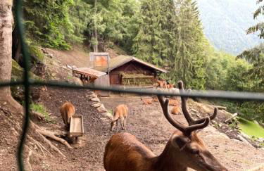 La casetta del Cervo - Photo 23