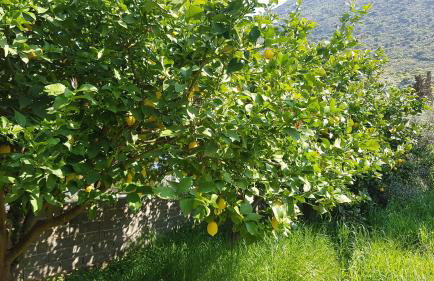 Oasis Studios AG PANTES - Photo 15