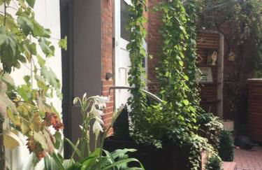 Hannover City Studio - Foto 19