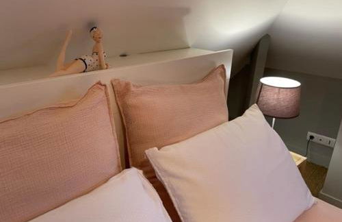 LE MAS maison vue sur Loire jardin 4 - Foto 41