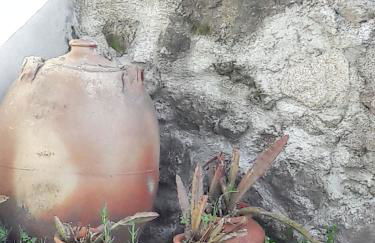 Charming House in Covelas with Pool and Mountain View - Foto 33