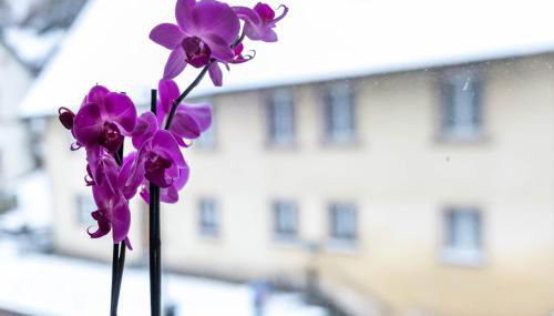 Residenz Schlossturm - Foto 3