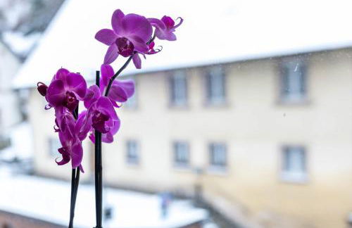 Residenz Schlossturm - Foto 3