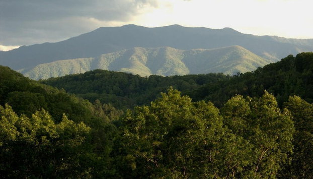 Enchanted Primrose Chalet #3709 Chalet - Foto 2, Imagen principal