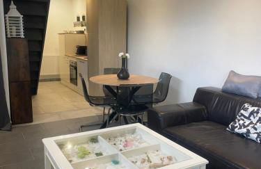 Paisible Duplexe sur Villeneuve d ascq - Foto 68