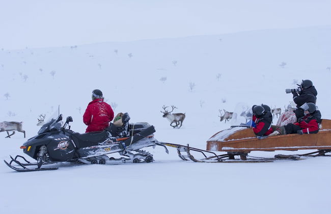 Holiday Village Valle - Photo 16