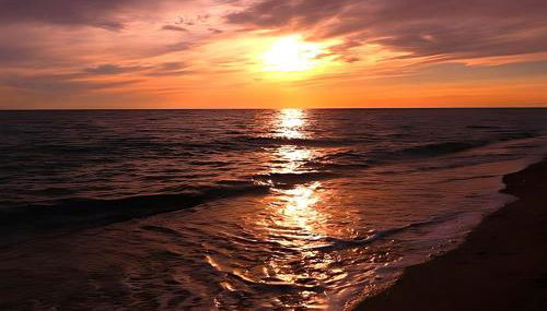 L' Antico Scoglio Appartamenti comfort Nocera Terinese Scalo - 4,7 e 11 Ospiti - Navetta Aeroporto-Stazione & Multi-Destinazioni - Piscina - Spiaggia a 300mt - Giardino e Zona pranzo all'aperto - WiFi & SmartTV - Aria Condizionata - Foto 5