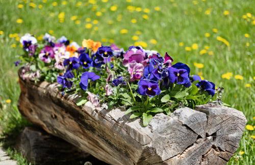 New Teindlhof - Foto 8