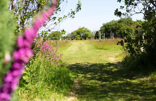 The Sty, rural retreat for couples - Foto 27