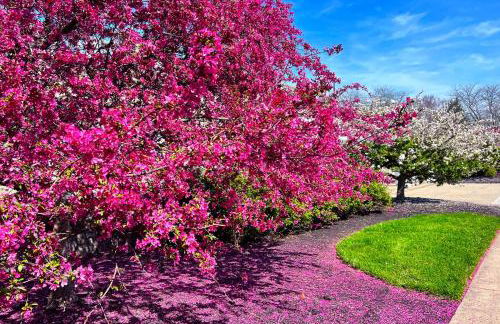 Oakley Square 3br Charmer - Total Walkability 3 Bedroom Home by RedAwning - Foto 52