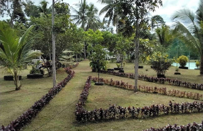 Asuneus Farm - Foto 12