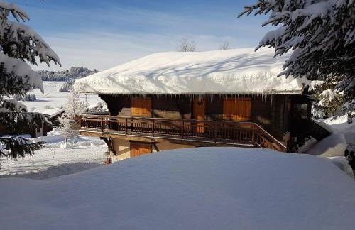 APPARTEMENT PLEIN SUD AUX SAISIES n3 - Foto 11