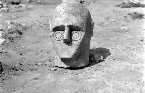 Agriturismo Le Mimose - Foto 18