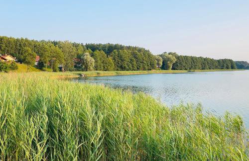 Palma de Masuria Ekskluzywny Dom na wyłączność - Foto 16