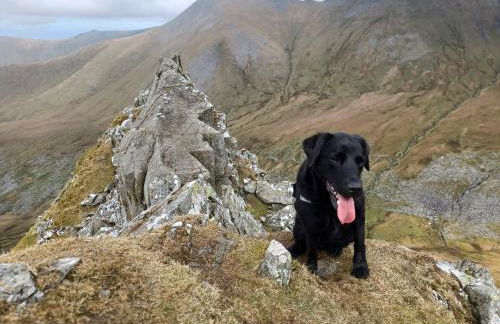Conwy Pen Cefn Farm Holiday - Photo 17