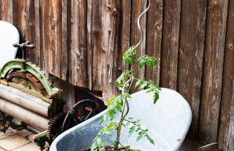 Pia Fewo Günzburg - Foto 7