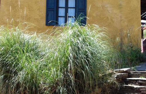 Ikarian Centre - Accommodation & mountain hiking - Photo 13