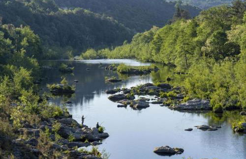 Serene Holiday Home in Les Salelles With Swimming Pool - Foto 79