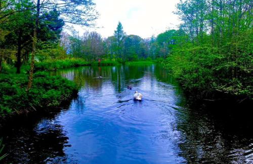 Hunter's Lodge Hot Tub Holiday, Northumberland - Photo 12