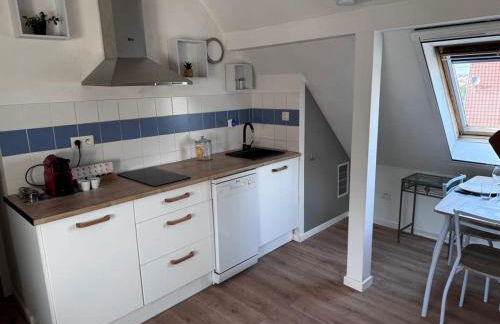 Au pieds du vignoble Colmarien - Foto 7