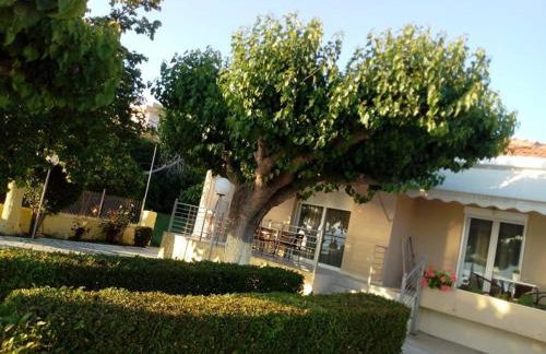 Mamanis Studios - Foto 19