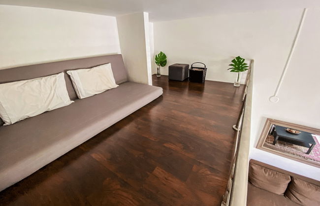 Gladiolas 2201 - Foto 11