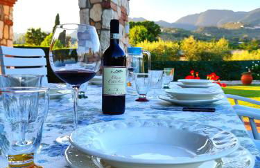 Tuscan Villa exclusive use of private pool A/C Wifi Villa Briciola - Foto 31