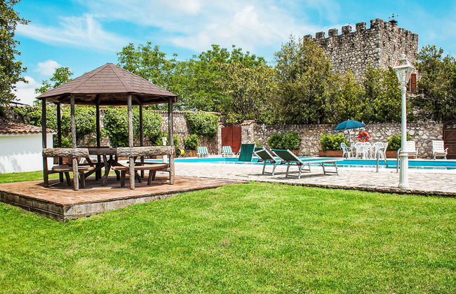 Olivo secolare - Foto 2