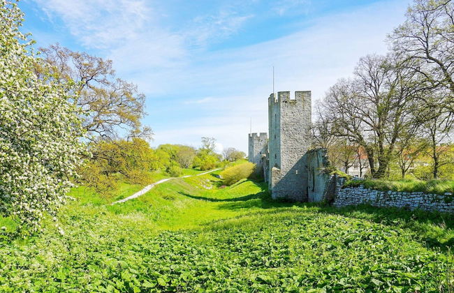 5 Star Holiday Home in Gotlands Tofta-by Traum - Foto 5