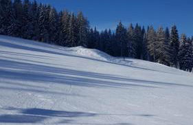 Residence Grand Hotel Carezza - Foto 78