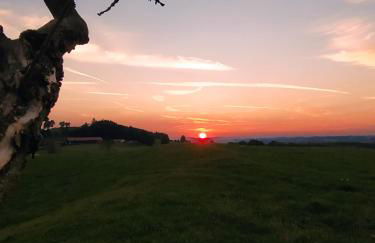 HAPPY PLACE Pusteblume - Foto 25