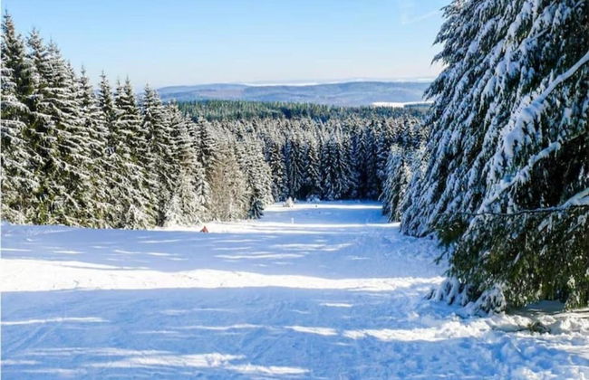 Holiday Home in Sellerich With Forest - Foto 34