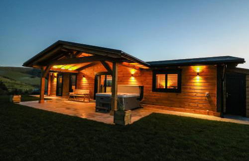 Bacheiddon Log Cabin - Photo 26