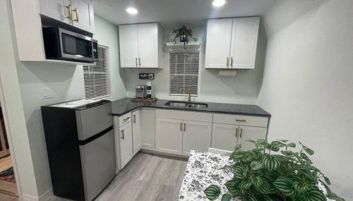 The Tiny Cottage in the Springs/ Central FL - Foto 4