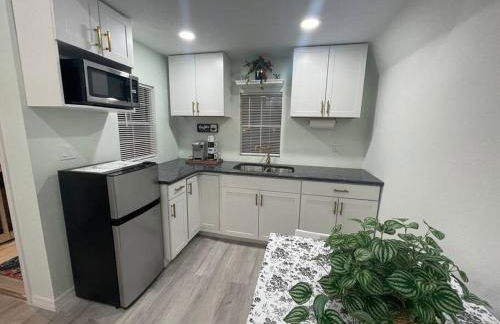 The Tiny Cottage in the Springs/ Central FL - Foto 4