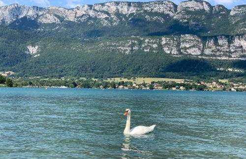 Le Studio Savoyard - Foto 36