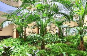 El Nautico Apartment - Foto 27