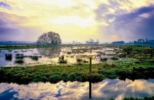 Goose Feather Barn, Wedmore luxury cottage for two - Foto 28