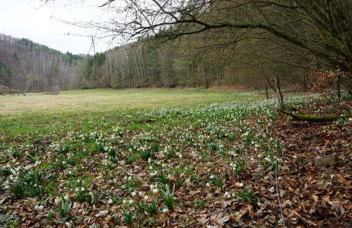 Ferienwohnung Familie Frank - Foto 50