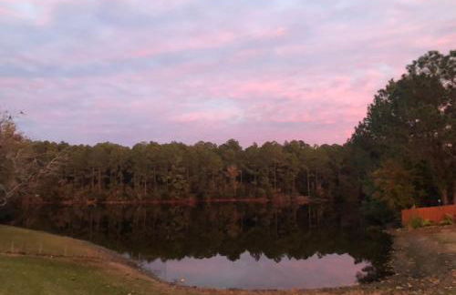 Ultimate Backyard Oasis, Heated Pool, Spa and Lake - Foto 9