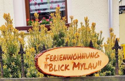 Ferienwohnung "Blick Mylau" - Nähe Freizeitpark Plohn & weltgrößter Ziegelsteinbrücke - Foto 17