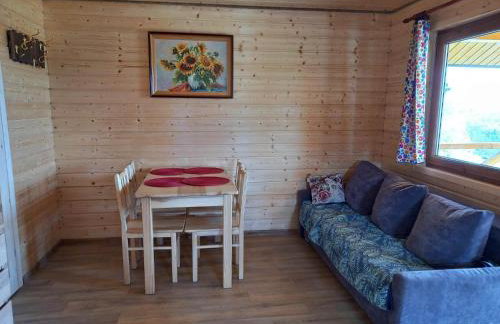 Domki na Górce w Bukowcu nad Soliną - Foto 8