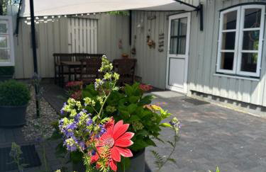 Reetdachhaus, Sauna, E-Bikes, 6 Personen - Foto 43