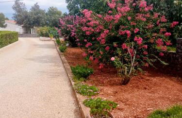 Apartman Kačić - Foto 66