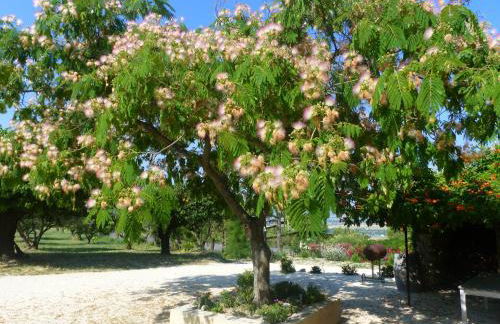 Les Rochettes - Foto 21