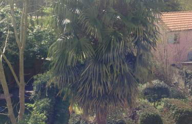 Studio proche forêt - Foto 11