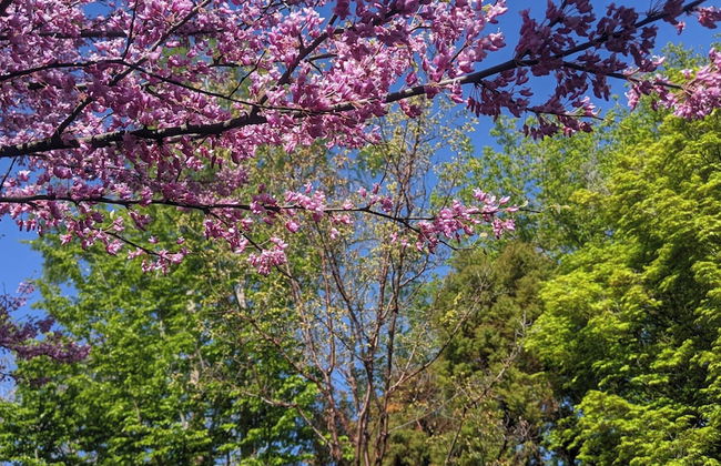 A Cowslip's Belle Inn - Foto 64