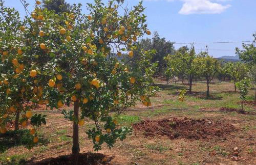 Village House - Monemvasia municipality - Foto 48