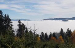 Domek na Obidzy - Foto 32