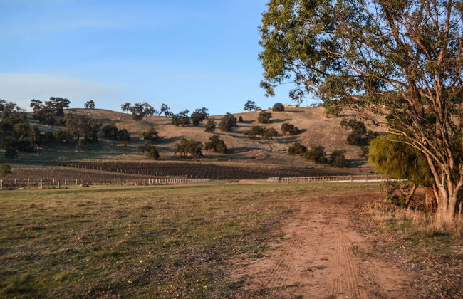 Brockman Park Estate - Foto 44